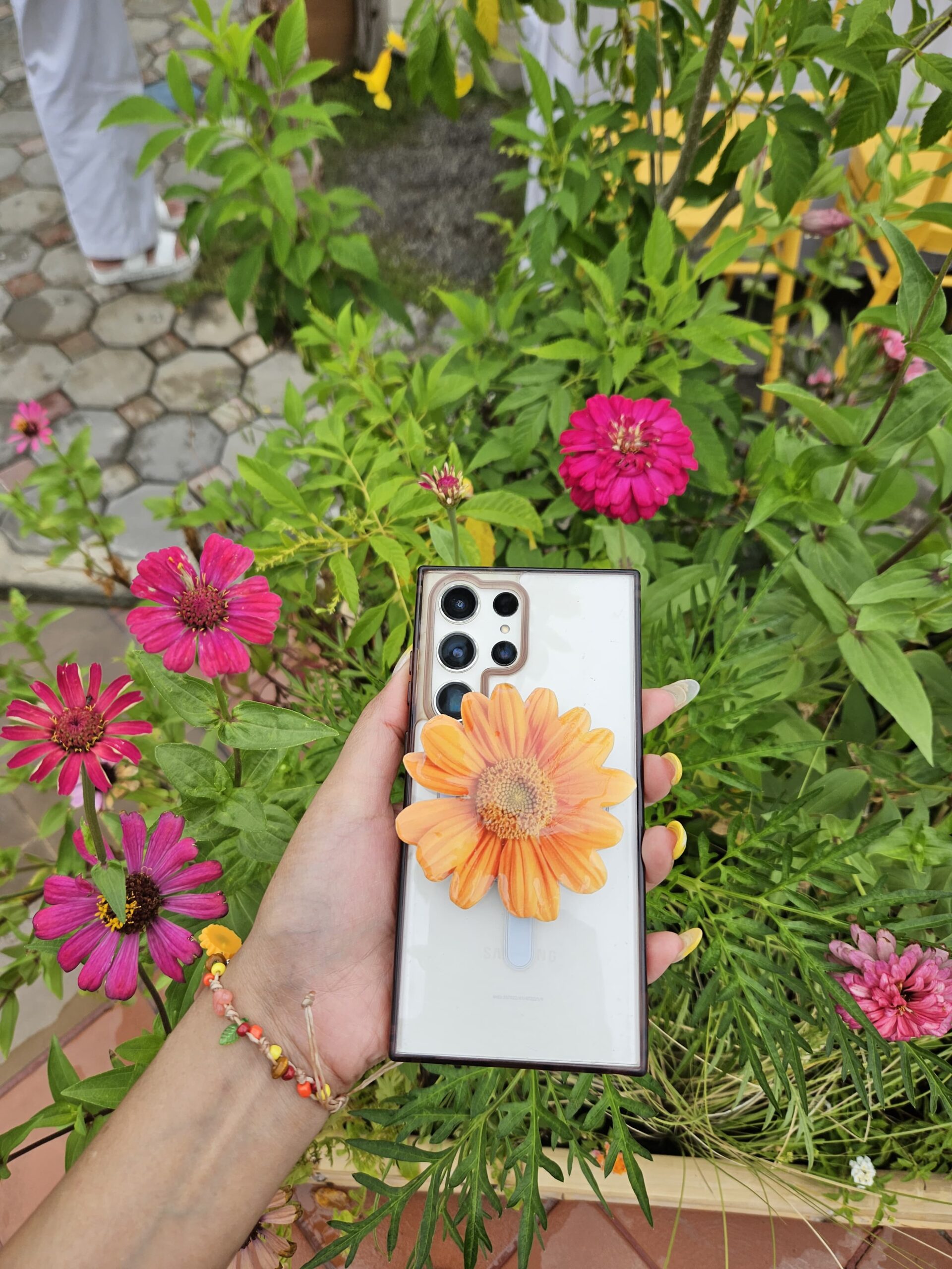ดอกเยอบีร่าสีส้ม 🌼 4