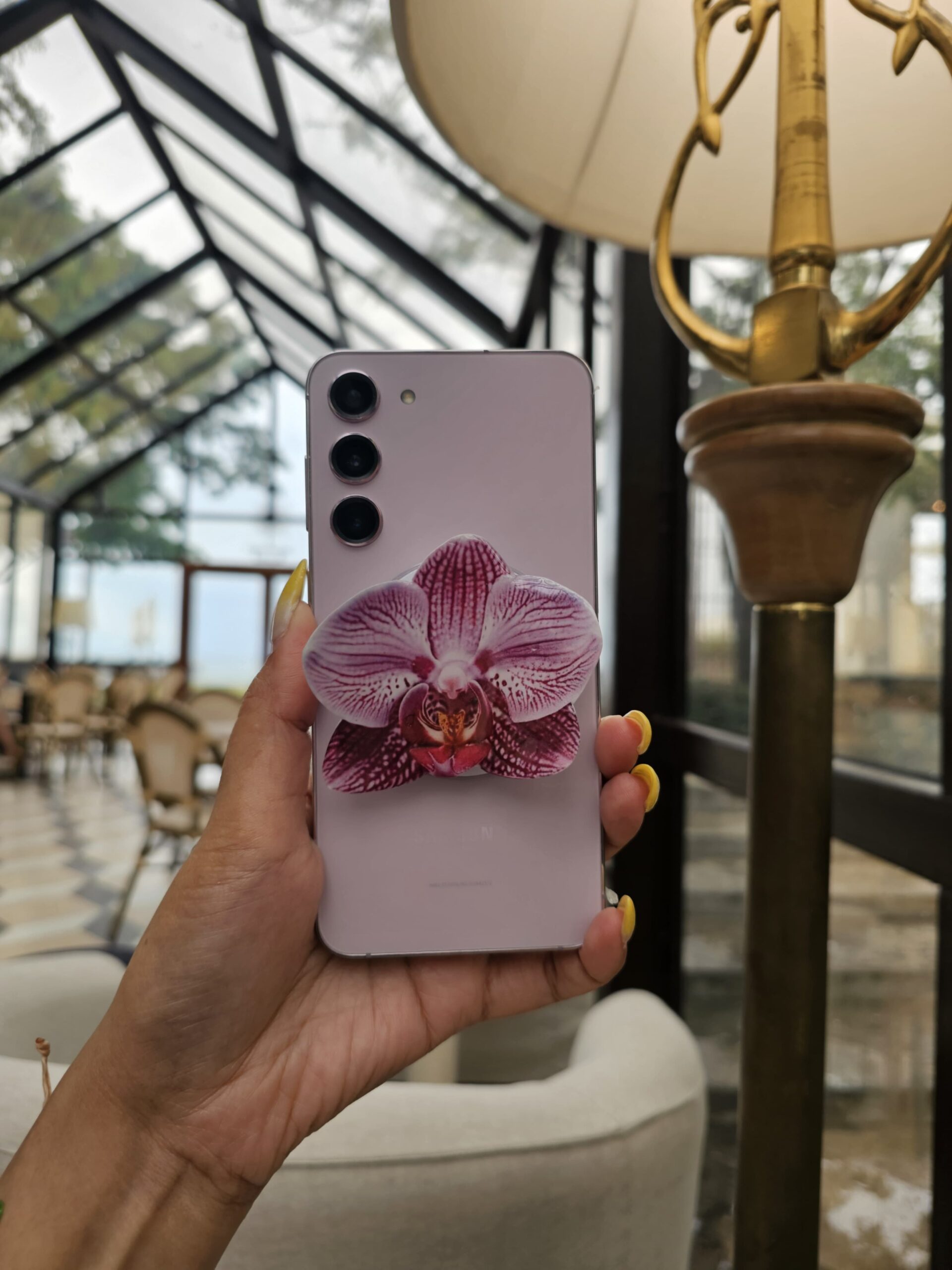 💜 ดอกกล้วยไม้สีม่วง 5