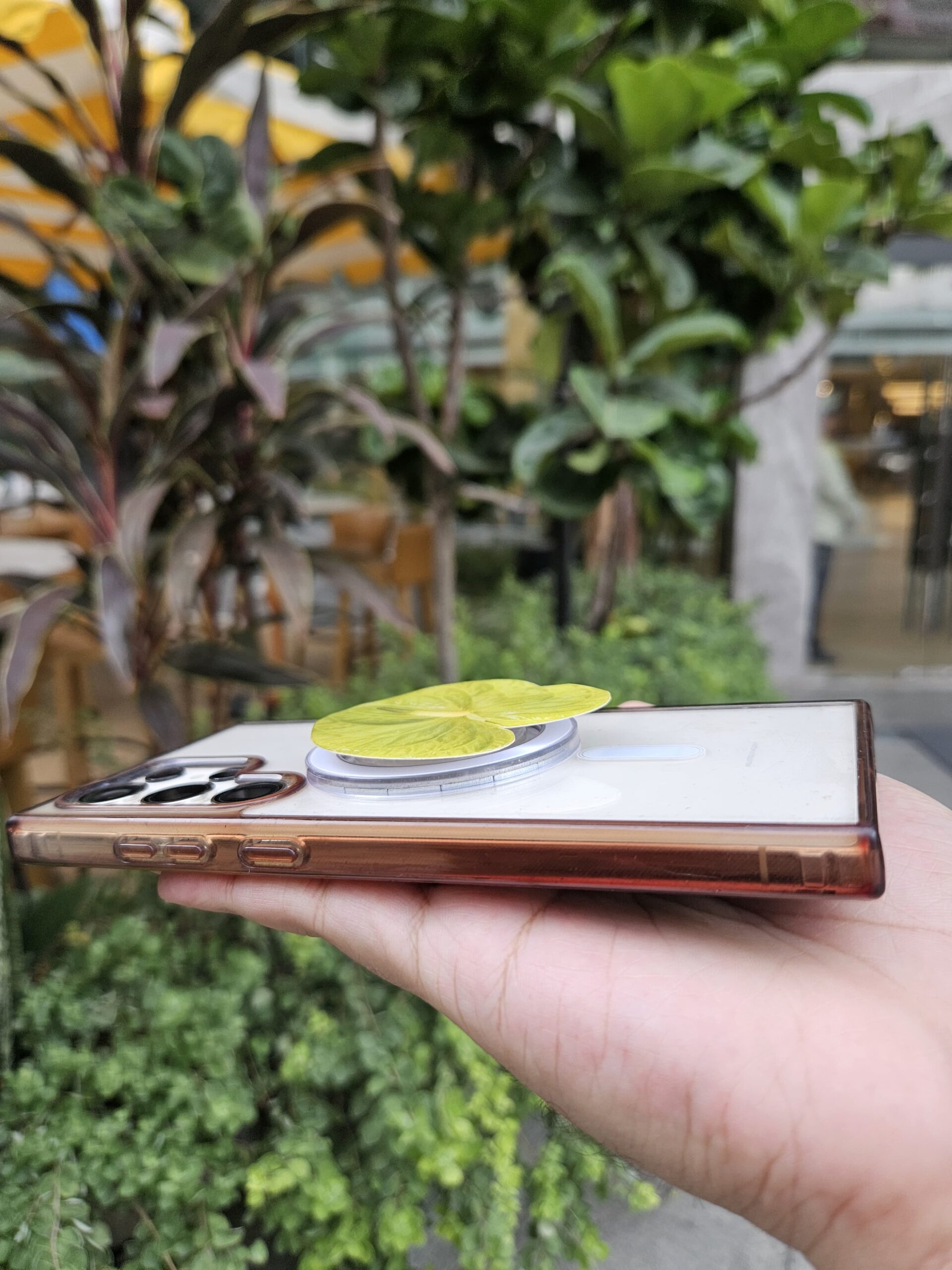 💚 ดอกหน้าวัวสีเขียว 3